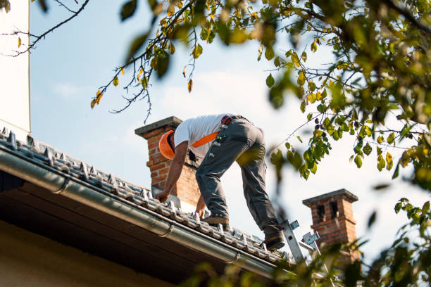 Best Chimney Flashing Repair  in Bismarck, MO