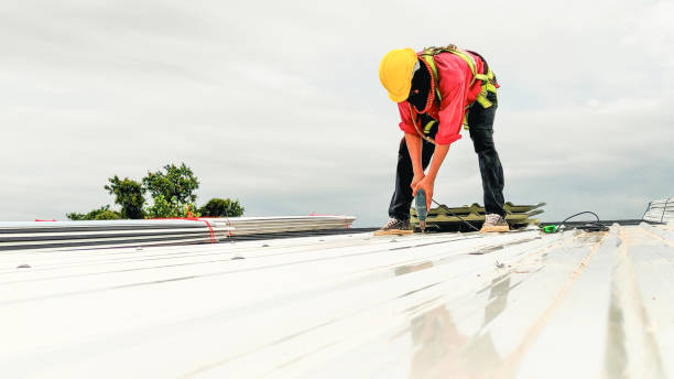 Best Roof Ventilation Installation  in Bismarck, MO